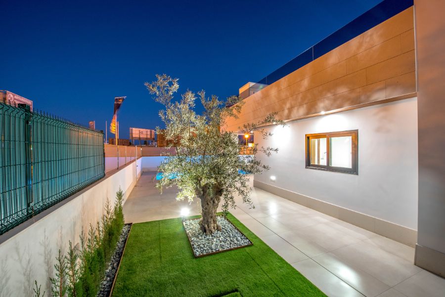 Jardín con olivo iluminado